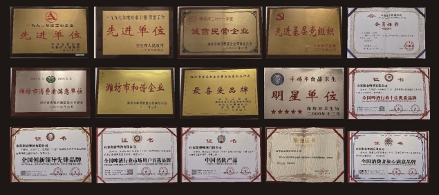 1028-企業(yè)篇-風雨同舟三十載，睿智傳承創(chuàng)新篇41資質(zhì)榮譽.png